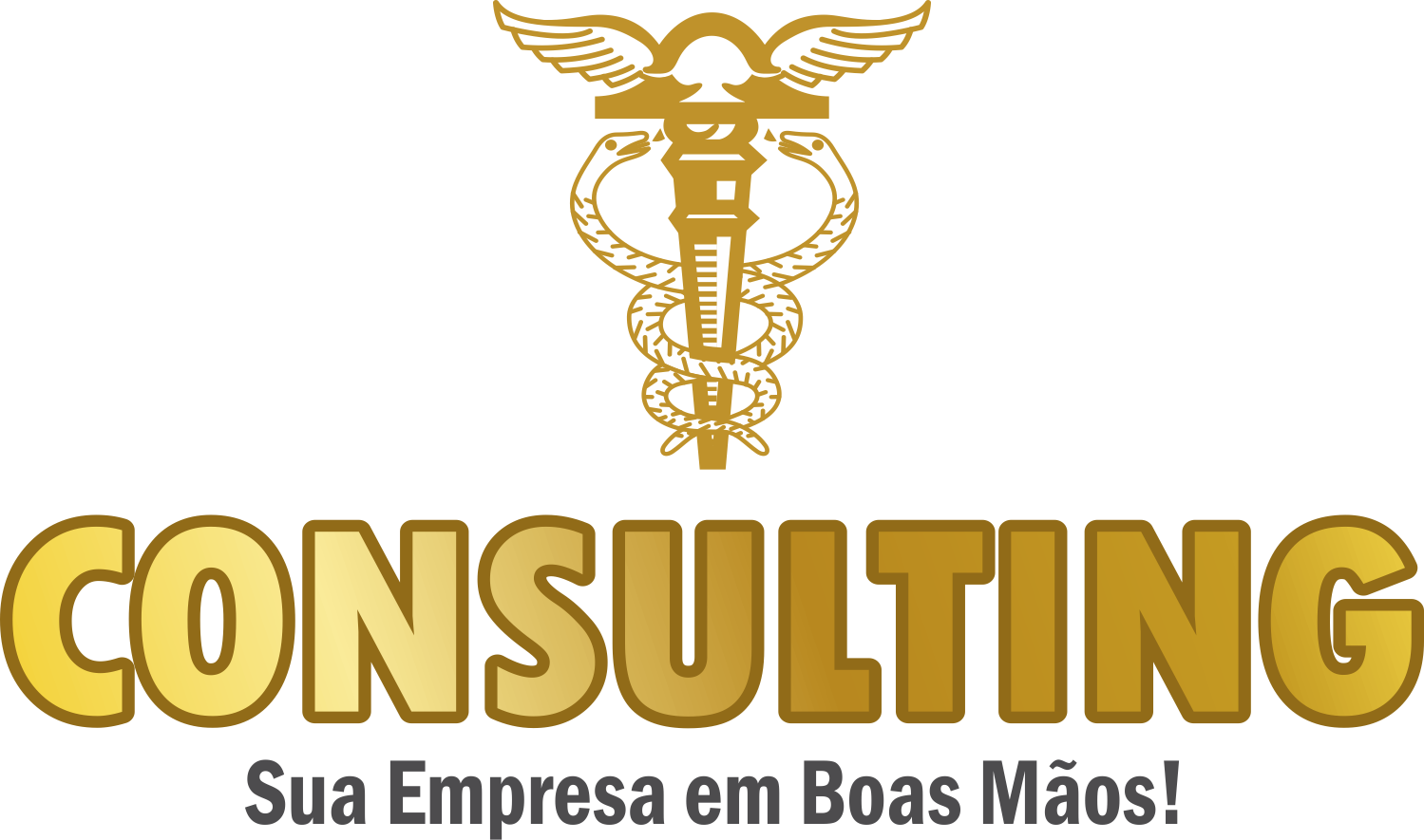 Consulting — Sua Empresa em Boas Mãos